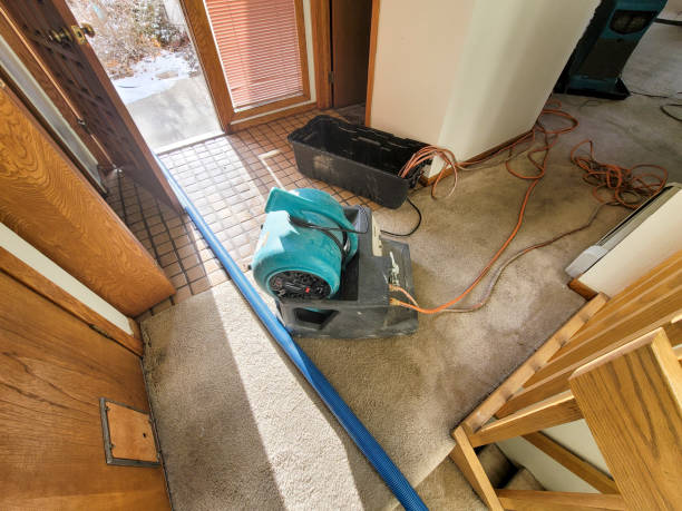 Best Water damage restoration near me  in Wakeeney, KS