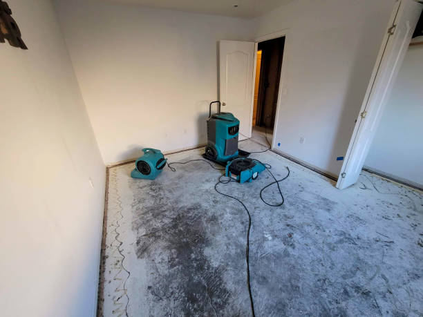 Best 24-hour water damage restoration  in Wakeeney, KS