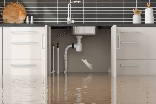 Best Water damage repair service  in Wakeeney, KS