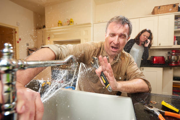 Best Water damage cleanup near me  in Wakeeney, KS